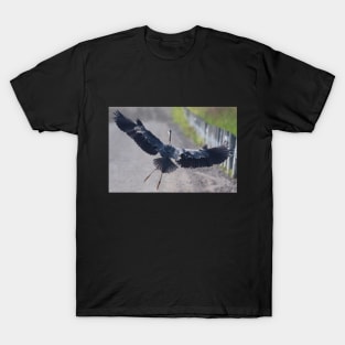 Great Blue Heron Having a Choppy Landing T-Shirt